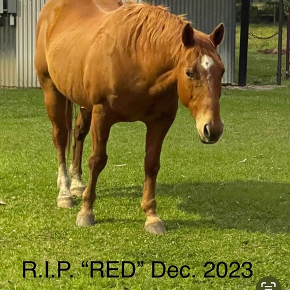 Meet your Posher, Angeldarling - Picture 13 of 16